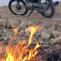 موتور 125سناتور