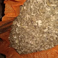 پوشال|عمده‌فروشی|قائن, |دیوار