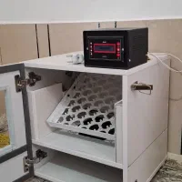 فروش دستگاه جوجه کشی ۴۲ تمام اتومات