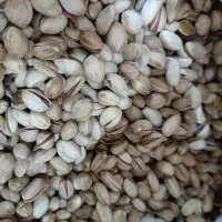 پسته امسالی|عمده‌فروشی|اردکان, |دیوار