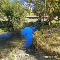 فروش چهار قطعه زمین5300متری در خلخال پشت داد کستری|فروش زمین و ملک کلنگی|خلخال, |دیوار