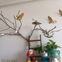 پرنده|پرنده|اصفهان, بهارستان|دیوار