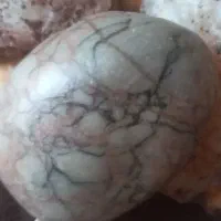 فروش|عمده‌فروشی|تاکستان, |دیوار