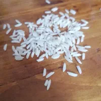 فروش برنج هاشمی رشت