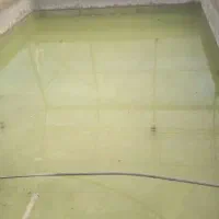 اجاره گلخانه دو سالن مجزا|اجارهٔ دفتر صنعتی، کشاورزی، تجاری|شهریار, دهشاد بالا|دیوار