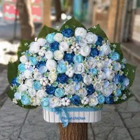 ماشین عروس|خدمات پذیرایی، مراسم|بهار, |دیوار