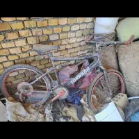 دوچرخه قیمت پایین