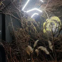 برقکاری صفرتا صد سیم کشی ،عیب یابی،نصبی جات ،لوستر|خدمات پیشه و مهارت|مشهد, حجاب (شهرک غرب)|دیوار