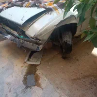 پیکان مدل ۷۹|خودرو سواری و وانت|شیراز, جوادیه|دیوار