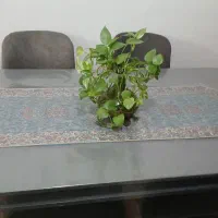 میز و صندلی  ناهار خوری|میز و صندلی غذاخوری|تربت‌حیدریه, بالا ولایت|دیوار