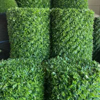چمن مصنوعی گرین وال فنس چمنی(خ فردوسی)|گل مصنوعی|بیرجند, |دیوار