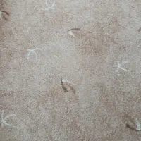 پالاز موکت درجه یک