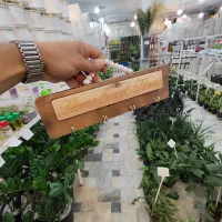 جا کلیدی جاسوئیچی جا کلیدی دیواری پشت خاران دیفن|صنایع دستی و سایر لوازم تزئینی|قم, ولیعصر|دیوار