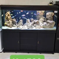 آکواریوم های خارجی شرکتی شیشه خم