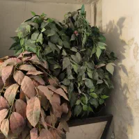 فروش سه عدد گل مصنوعی با گلدان درارتفاع های مختلف|گل مصنوعی|نجف‌آباد, باغ ملی|دیوار