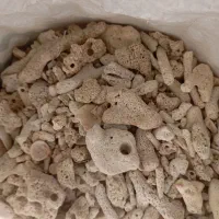 آکواریوم ومتعلقات|ماهی|صدرا-فارس, فاز ۱|دیوار