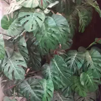 درختچه مصنوعی