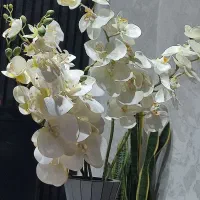 گل و گلدان مصنوعی گل ارکیده سفید|گل مصنوعی|ری, جوانمرد قصاب|دیوار