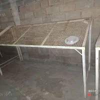 میز میوه فروشی|فروشگاه و مغازه|رامهرمز, |دیوار