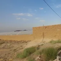 فروش گلخانه مدرن و مجهز در تفت با سند تک‌برگ|فروش دفتر صنعتی، کشاورزی، تجاری|یزد, |دیوار