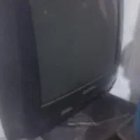 تلوزیون