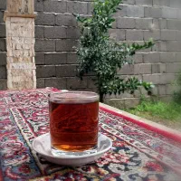 محصولات ارگانیک گیلان|عمده‌فروشی|لشت نشا, |دیوار