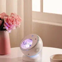 چراغ خواب شفق قطبی