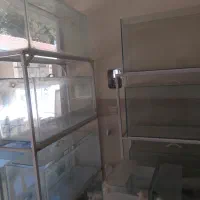 فوری۵۰۰ ت آکواریوم|ماهی|گلپایگان, |دیوار