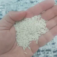 برنج هاشمی گیلان صومعه‌سرا به شرط