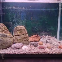 آکواریوم شرکتی دلسا k580