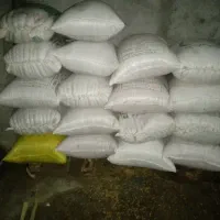 گندم|خدمات باغبانی و درختکاری|قره قوین, |دیوار