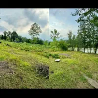 زمین سنددار در گیلان