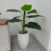 درختچه مصنوعی باگلدان