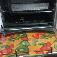 توستر دو جوجه گردون|اجاق گاز و لوازم برقی پخت‌وپز|فولادشهر, مسکن مهر فولادشهر|دیوار