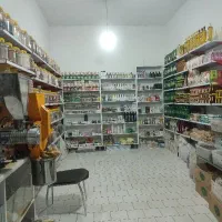 ارگانیک سید