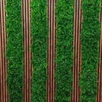 پخش و نصب گرینوال و دیوار سبز|گل مصنوعی|ارومیه, |دیوار