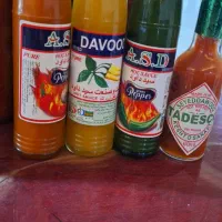 استخدام مسئول فنی