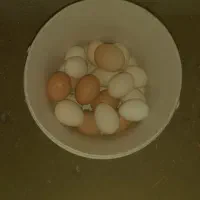 تخم مرغ گلین