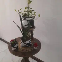 سفارش انواع سبد های مختلف تسمه