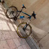 دوچرخه  حرفه ای کوراتک  اسکات جاینت فوجی