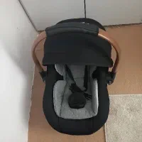 کریر دلیجان