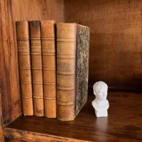 ۴ جلد کتاب رمان فرانسوی