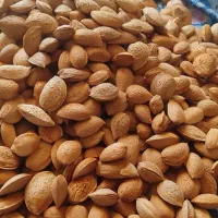 بادام درختی