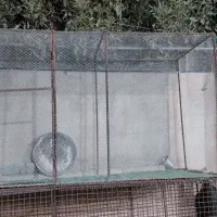 قفس پرنده|لوازم جانبی حیوانات|آبدانان, |دیوار