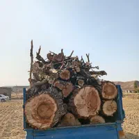 خریدارچوب|خدمات باغبانی و درختکاری|میانه, |دیوار