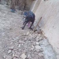 سگ پیتپول