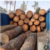 خریدار چوب وبرش انواع نوع درخت