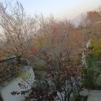 باغ-واقع-در-سعدآباد