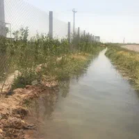 زمین کشاورزی گلخانه ای قزوین فارسیان|فروش دفتر صنعتی، کشاورزی، تجاری|قزوین, |دیوار