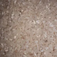 برنج نیمه طارم برنج نیمه شیرودی|خوردنی و آشامیدنی|بهشهر, |دیوار